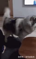 |幽默笑话:老师要求必须带一样主食 他爷爷正好走过