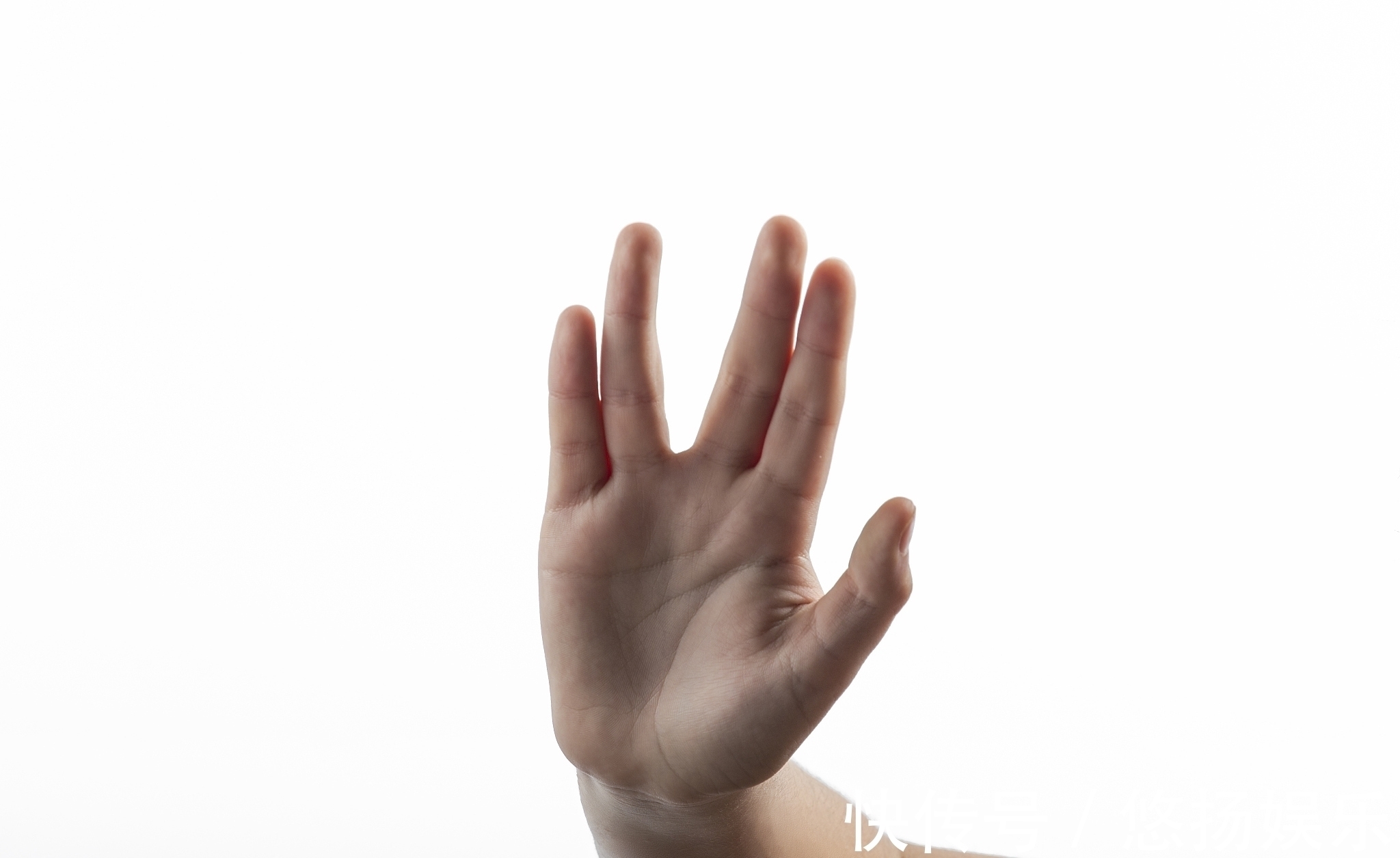 中国外来入侵物种名单|别怪没有提醒你!野钓不能超“2.5公斤”!否则一个字“抓”