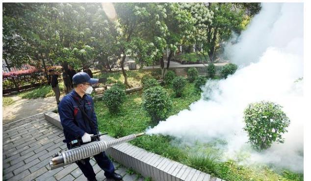 高层|为何很多有钱人从别墅搬到高层?过来人:4大硬伤,住得窝火