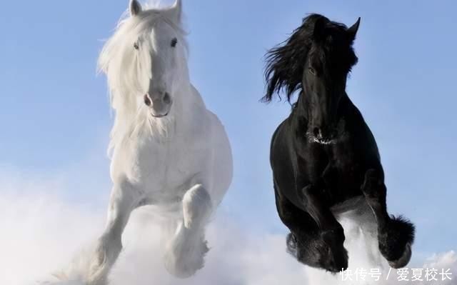 宝宝|生孩子要看属相?这4个属相的孩子有优势,孩子比同龄人更聪明