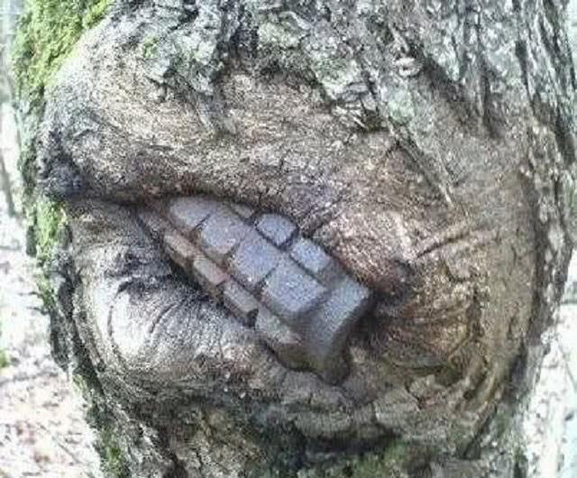 苏德|二战时期，苏德战场到底有多惨烈看完这5张老照片就懂了