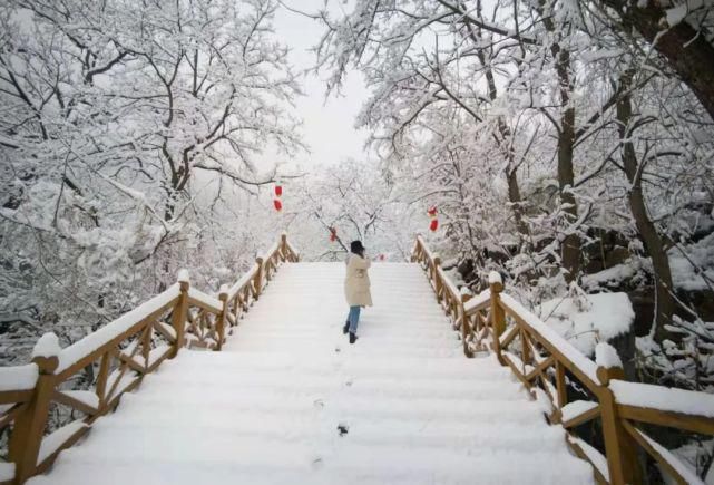 牛年初雪后，这些地方美成了画