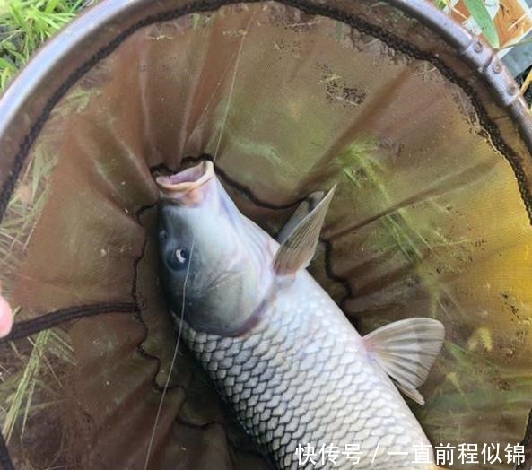 钓位|钓鱼太费钱所以能省就省在这几个环节省了钱,你多半会空军!