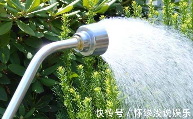 坏习惯|喜欢养花，先戒掉7个坏习惯，不然啥花也养不好，你占了几个？