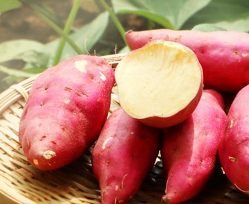 土豆、生姜、大蒜发芽后,到底能不能吃,危害健康不是小事