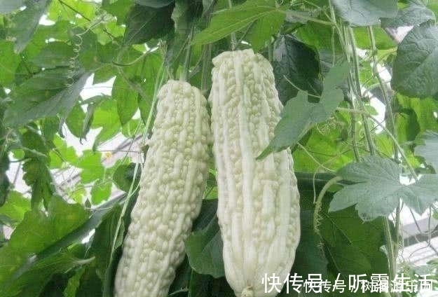 常吃|糖尿病患者不用担心, 常吃这几样食物, 帮你稳定血糖不升高