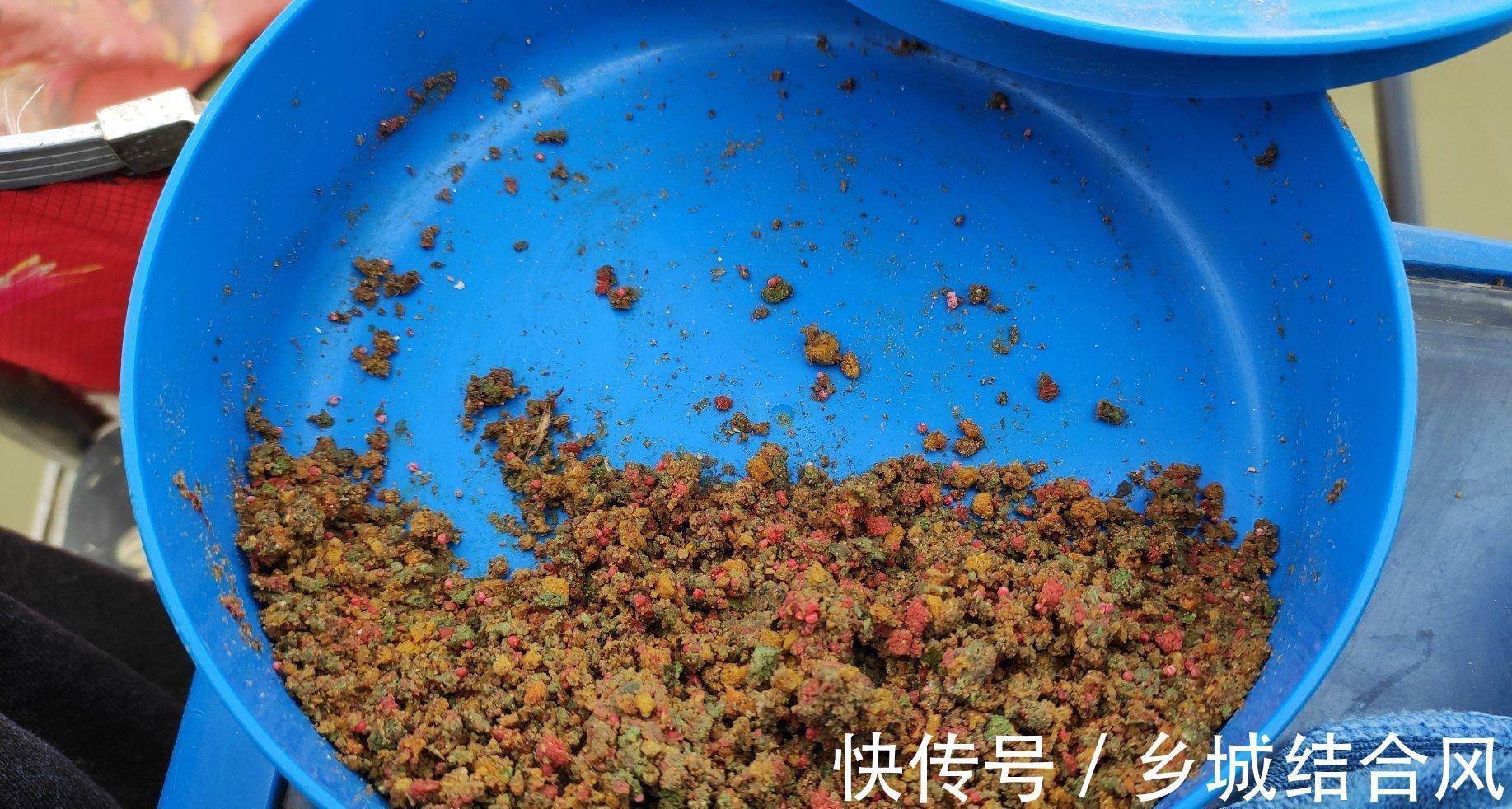 为什么总是钓不到鱼,因为你根本没弄明白钓鱼的三要素