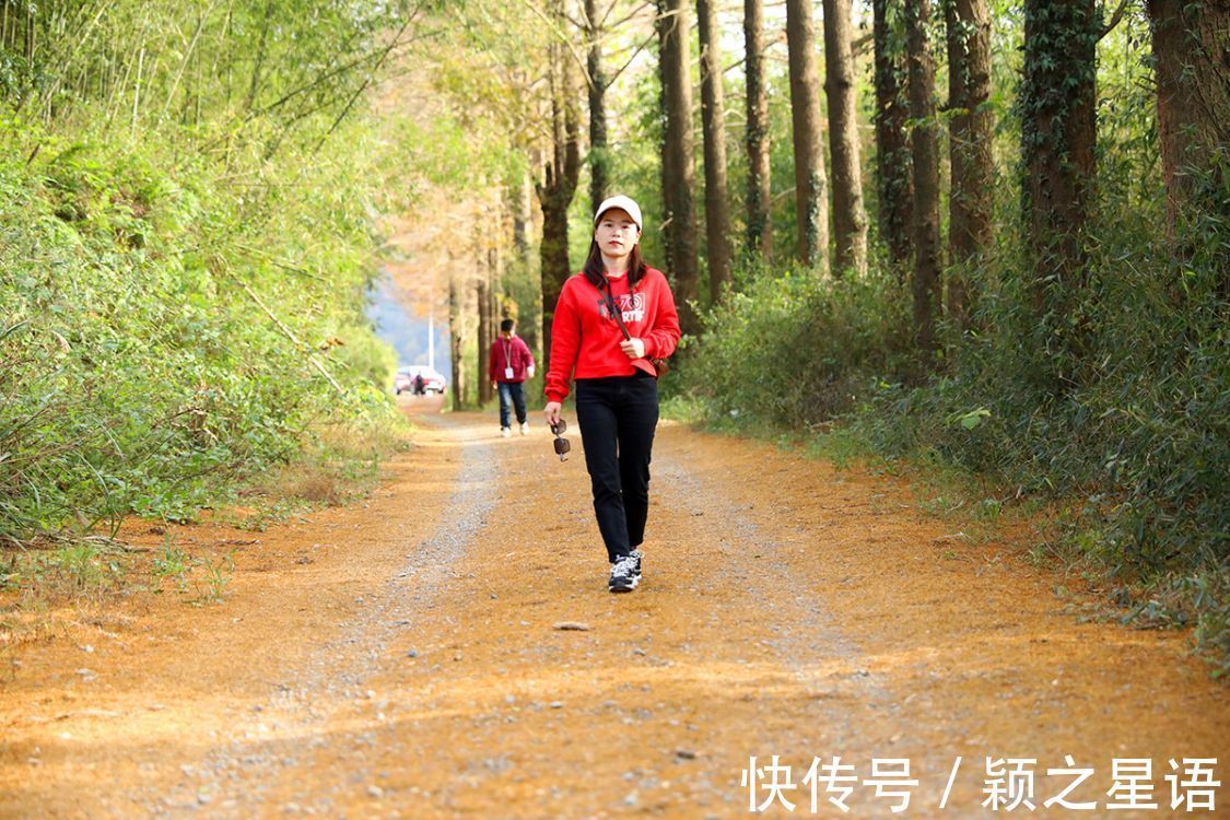 花海|黄金路，花海，红杉林，环游东吴风景线