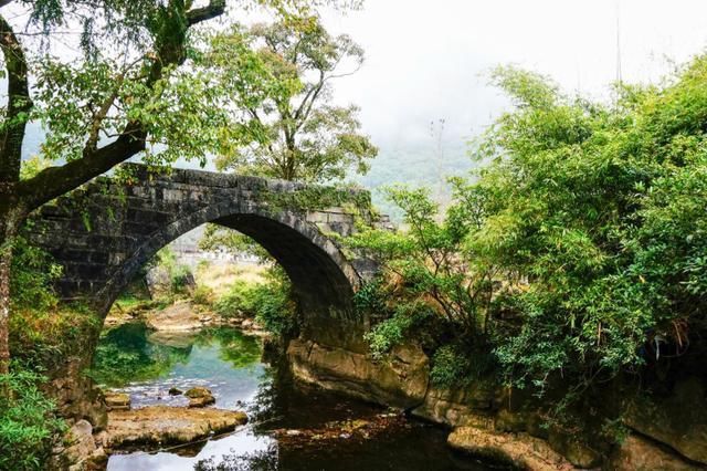 贵州“隐藏”的原始森林，景色不输小七孔，门票50游客罕见