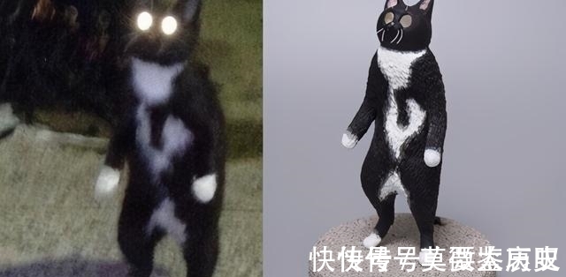 小猫|全球的猫都想屏蔽这个日本人,他到底做了多少沙雕手办?