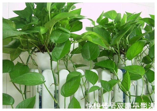 入住|装完房到底多久能入住？入住前需要做哪些准备？内行人给出建议