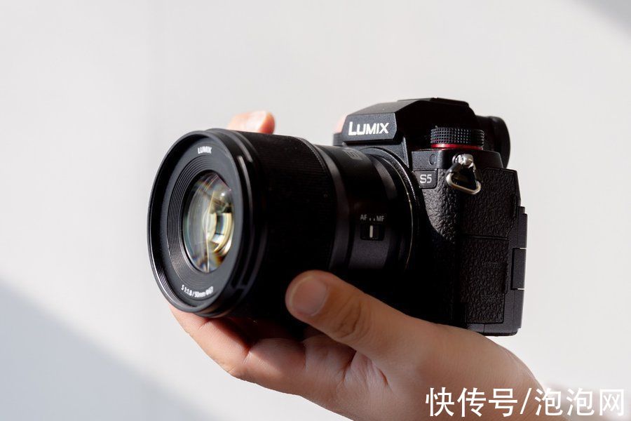 lut|初体验！松下LUMIX S5全画幅微单宠物视频拍摄