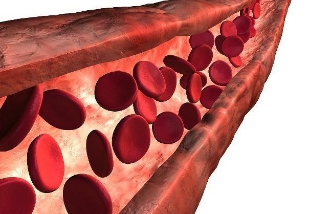 谨记|甘油三酯高，别着急，早餐谨记2不吃，谨记1句话，有助于保护血管