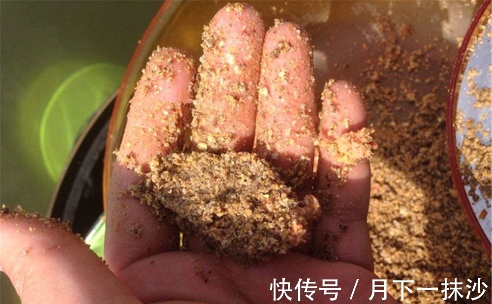 冬季钓鱼,始终不发窝不是天冷,打窝聚鱼遵守5大要点,连竿不断