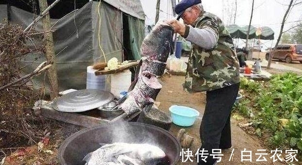 老汉钓到罕见三连体鱼 竟然就这样给煮了 专家知道后大哭!