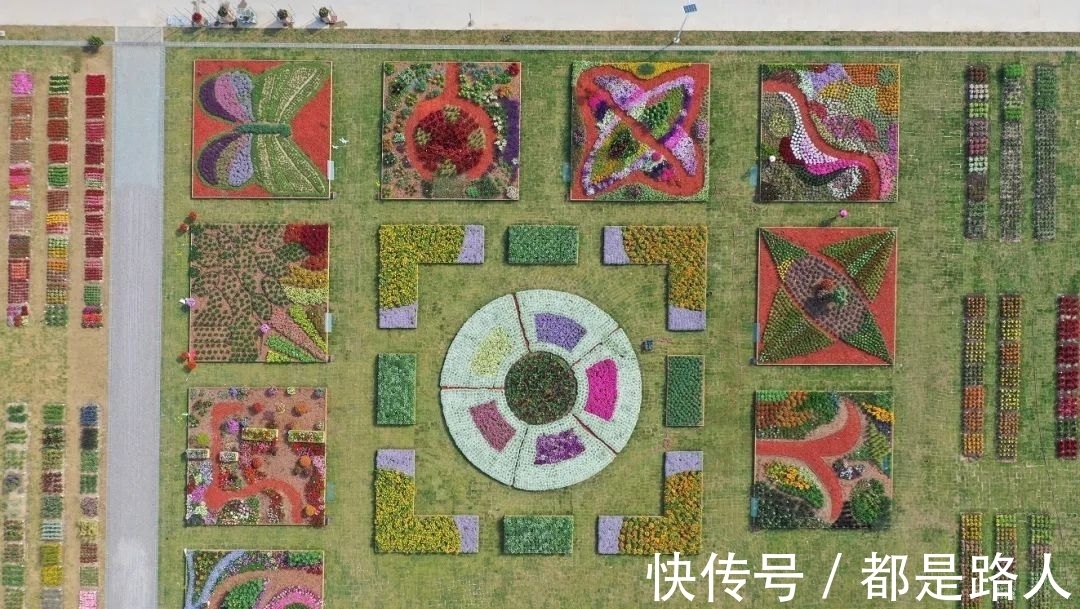 崇明区|【十佳最美花乡】这座充满“智慧”的花卉园,新年来崇明打卡吧!