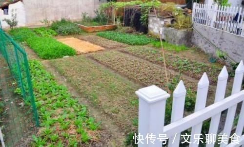 电梯|不少人心目中的黄金楼层竟然是这一层看完分析后悔房买早了