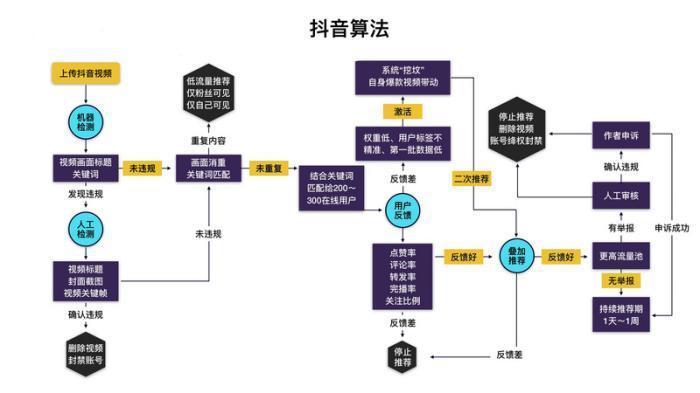 视频|直播赚钱宝典：全面解析抖音平台算法