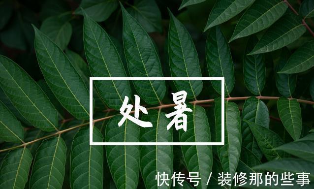 好坏|“两金夺中元，处暑两难全，”今年中元连处暑，好坏？有啥说法？