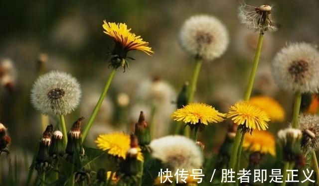 天蝎星座|10月份开始，好运“即将来袭”，事业财运一路高涨的四大星座