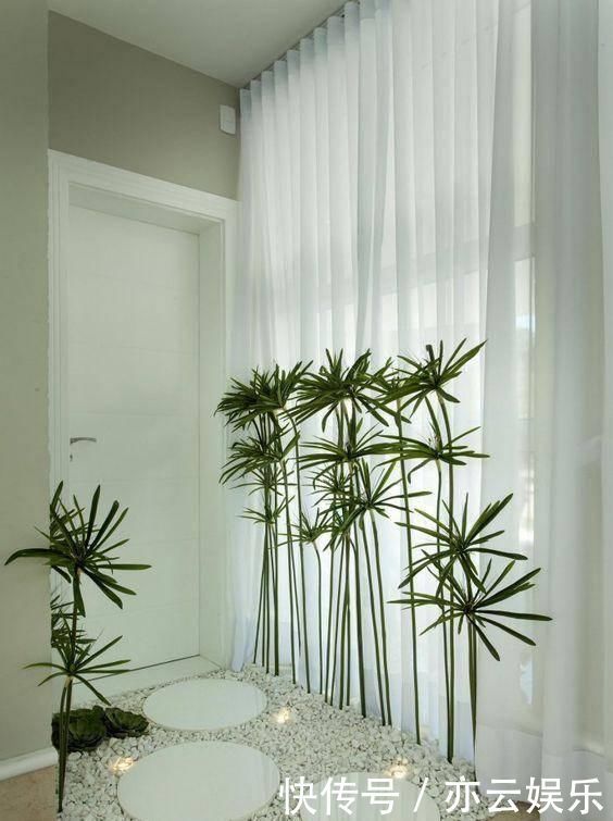 头一次见到户型不带院子,偏偏要在室内建庭院,没想到还这么漂亮