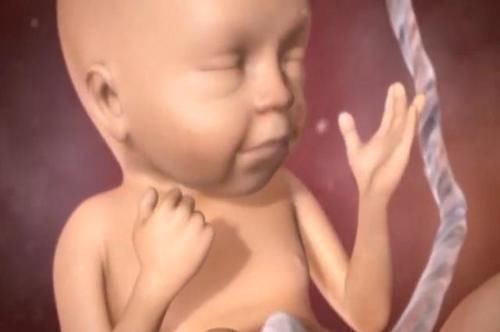 李仙儿|孕妇在大哭的时候,胎儿也会跟着流眼泪吗?一张图告诉你“真相”