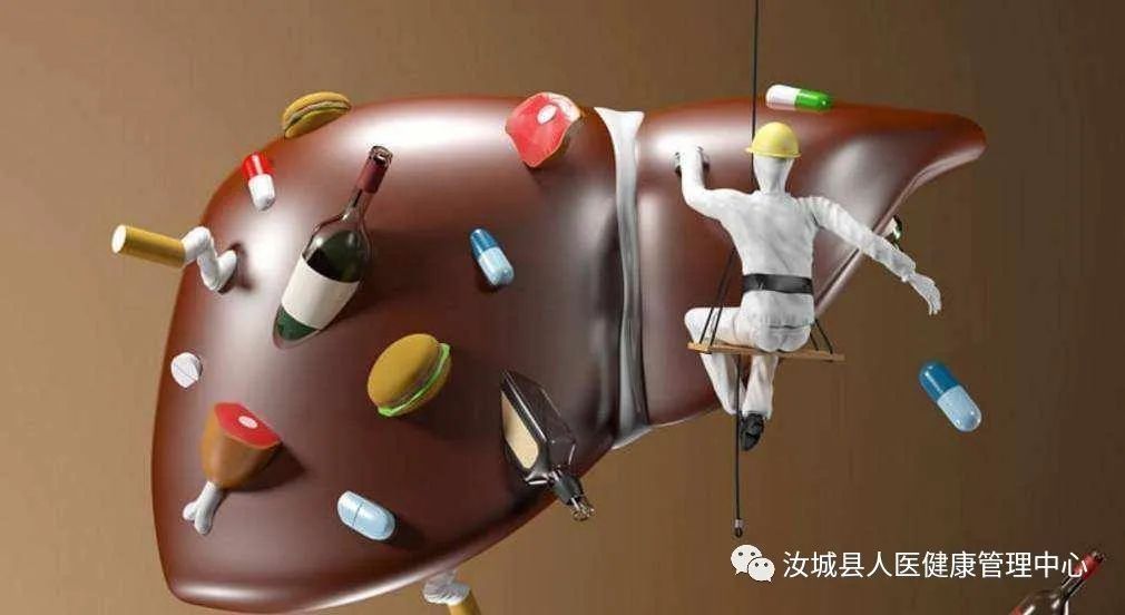  到底|脂肪肝到底有多可怕？这篇文章说透了！