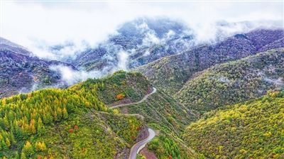 一年好景君须记|塞上迎金秋 一览好河山