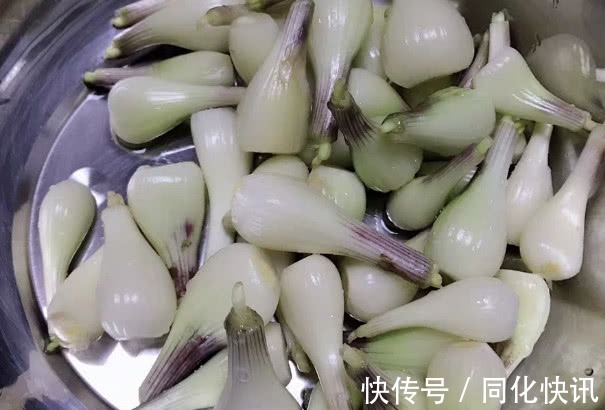 长寿|人到中年想长寿,三种食物要多吃,提神醒脑、舒缓压力,早吃早好