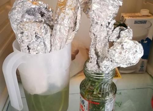  保存香菜|吃不完的香菜别直接放冰箱，教你一招，放半个月也不打蔫不发黄