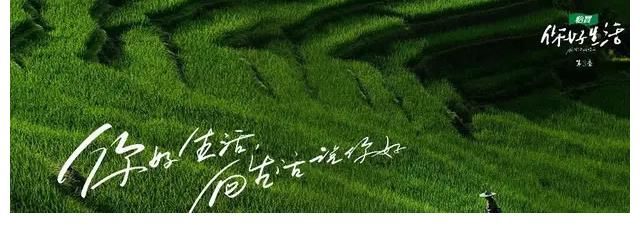 携《你好生活》强势归来，怡宝重构慢综艺营销想象！