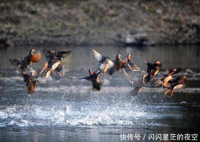 沿着高速看中国｜景婺黄高速：穿越四季如画“最美乡村”