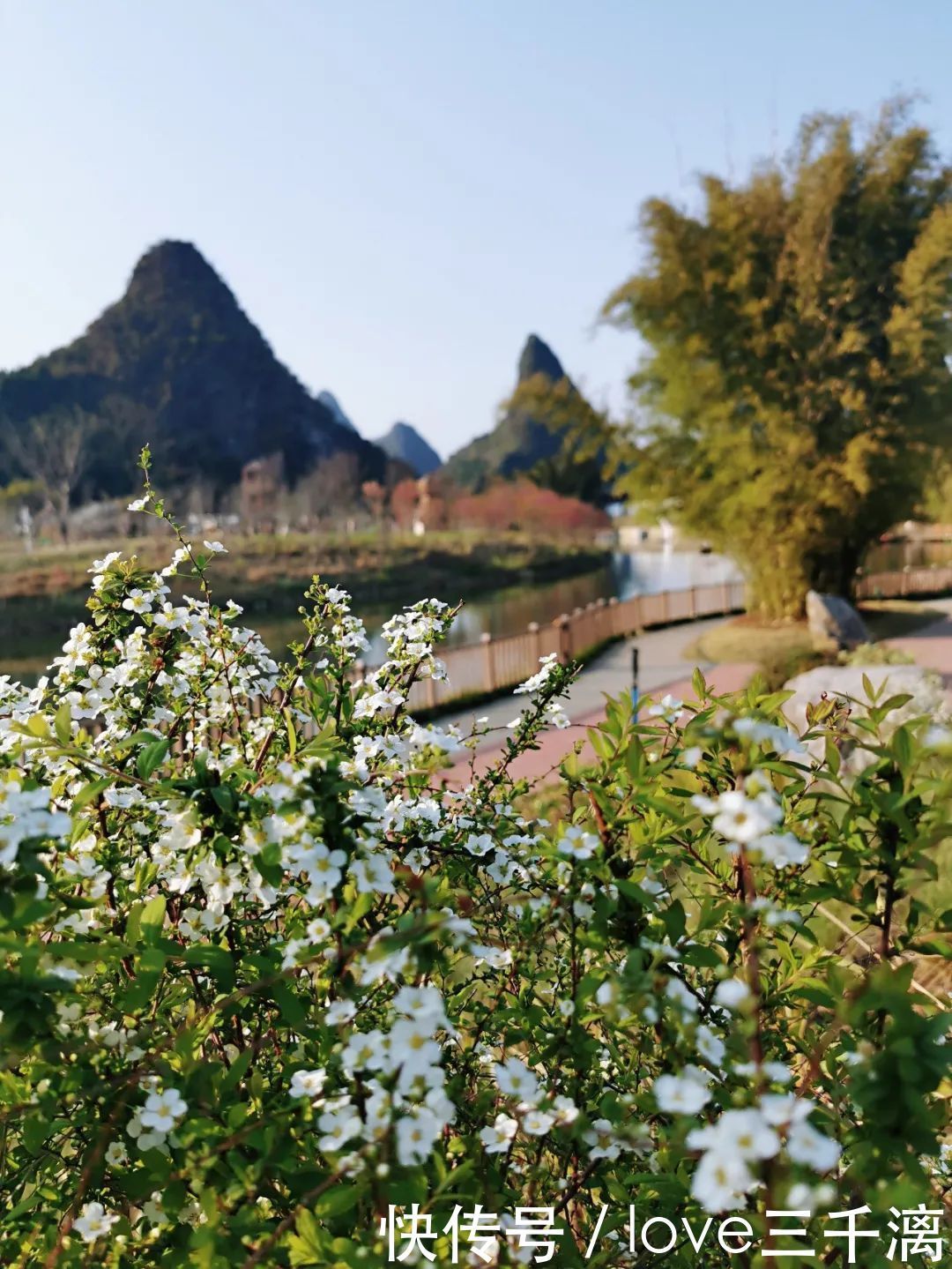 三千漓丨春风送暖百花开，正是赏景好时节