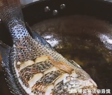 吃货|唯一让中国吃货退却的鱼!营养比甲鱼高,全身是宝,只要4元一斤