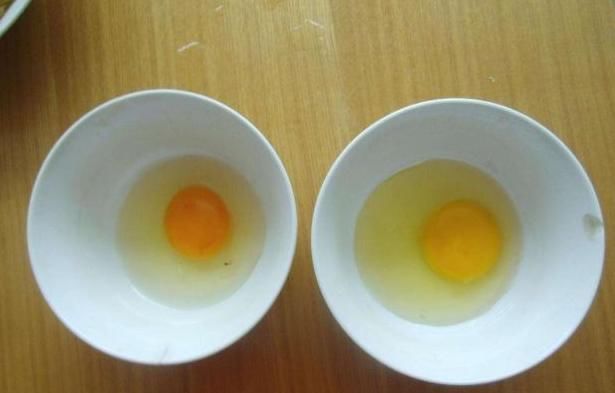 鸡蛋里面也有学问?学会识别鸡蛋,每天都能吃到营养好鸡蛋!