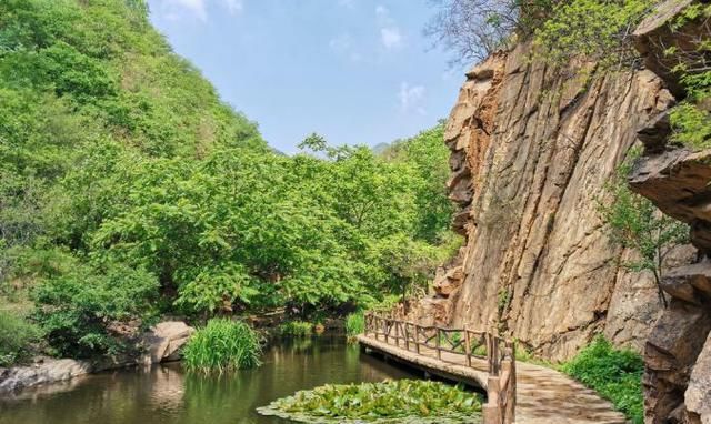 林木|北京这处景点山清水秀、林木繁茂、山高谷深、溪水潺潺