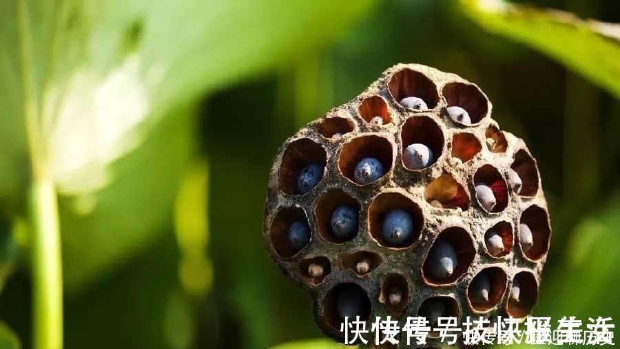 教条示龙场诸生@王阳明的十句处世真言,学会一个,就能成就辉煌的人生