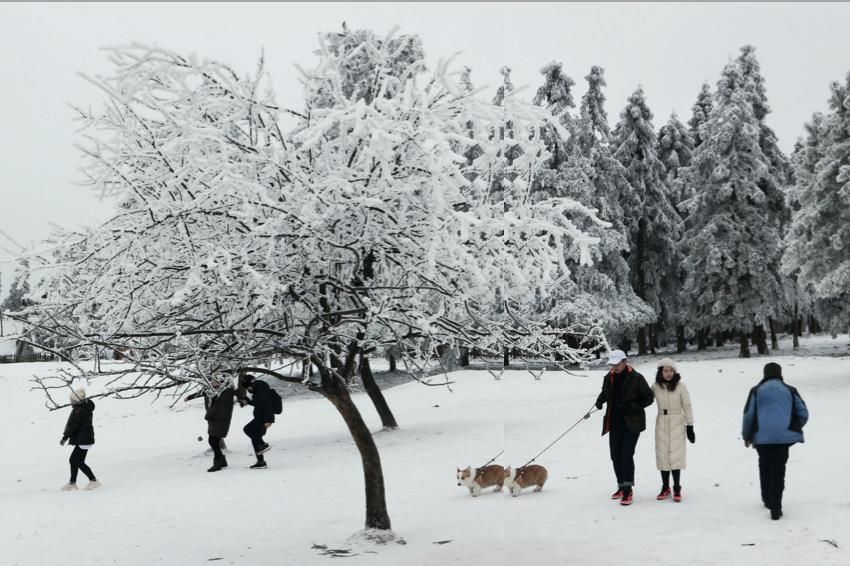 雪板|12月，在雪板上对2020说再见