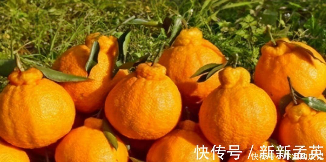 陈医师|对身体很好的三种食物，值得天天吃一些，排毒养颜，美白护肤！