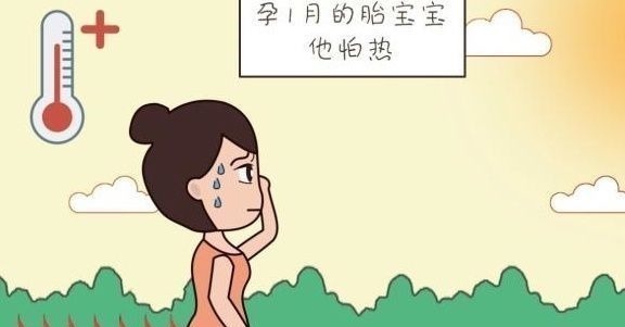 准妈妈们|孕期每个月胎儿最怕什么?根据月龄告诉你,你们还不悠着点吗?