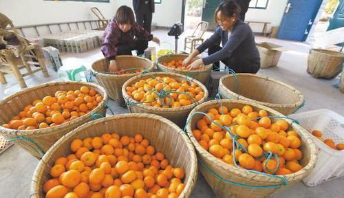 温热性|高血压患者请记住,千万别吃这些食物,吃多了血压蹭蹭往上涨