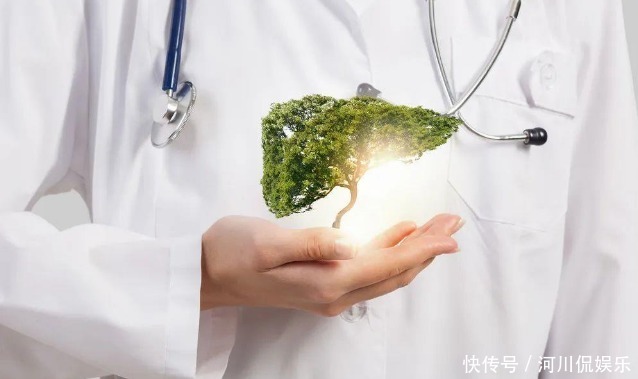 蒲公英泡水|51岁女子,因一壶蒲公英水,被送进医院,蒲公英4大禁忌要知晓