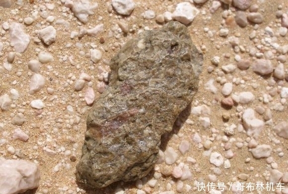 几何|我有陨石,价值几何?