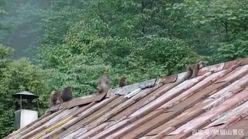 仙峰寺，可不止拜财神，更让人赞叹的还有这些