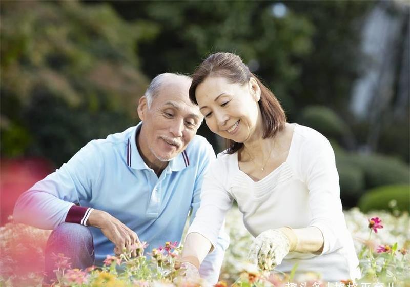 孩子|“人到中年会发现，只有一个孩子的家庭大都过的很好”怎么看？