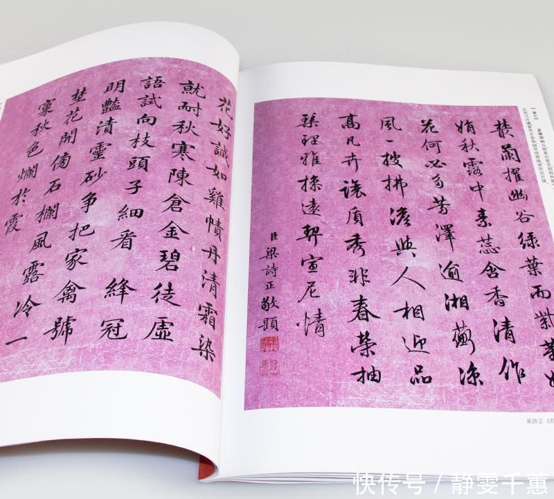 十宫帖#清朝两大书法鬼才一位行书最好看,一位小楷堪称第一