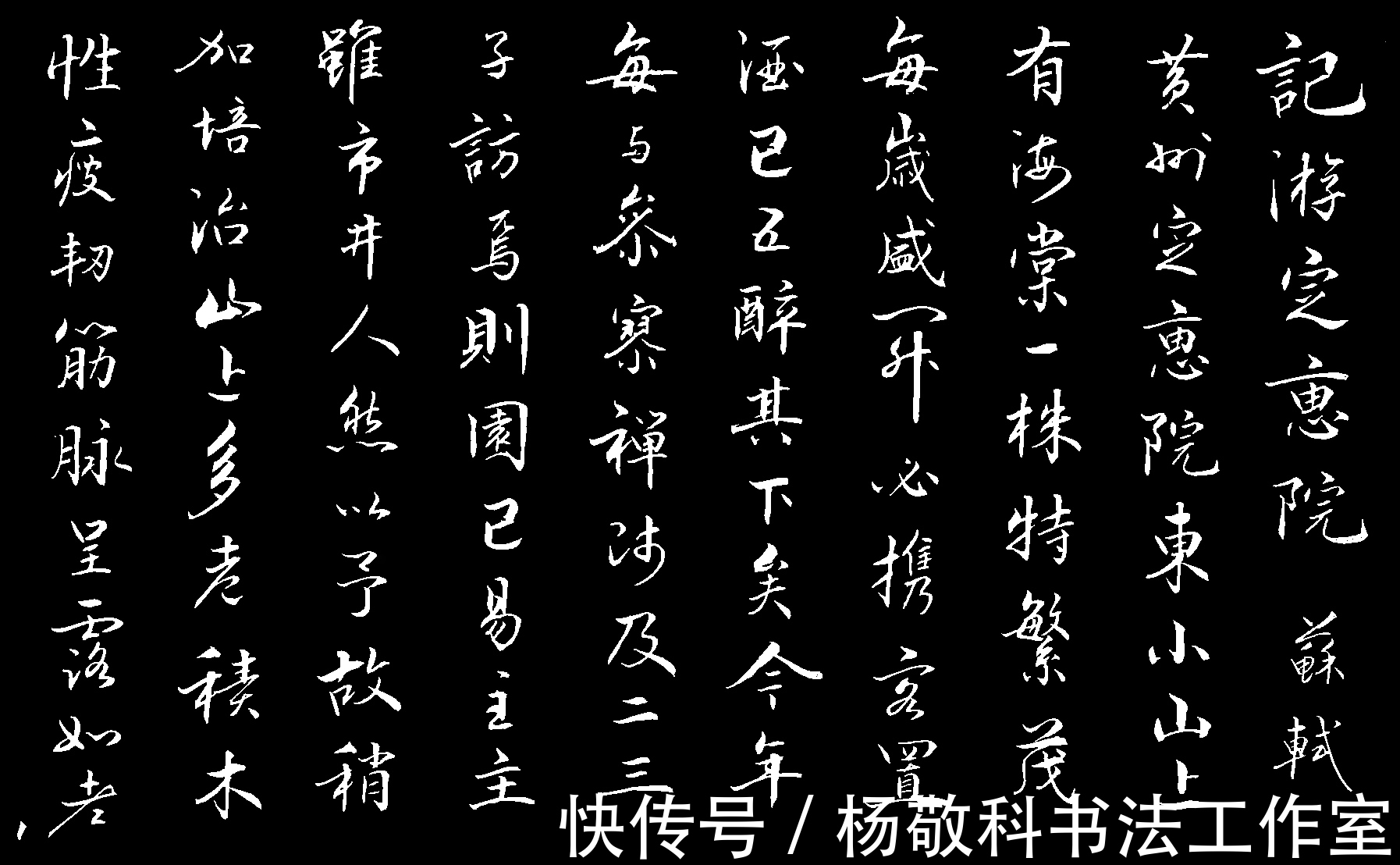 铮铮然!行书 记游定惠院 (苏轼)