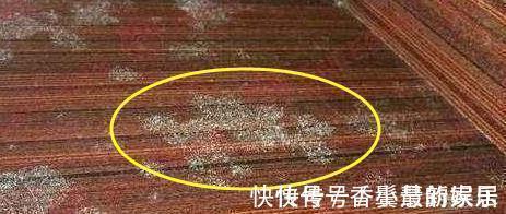 热水管|刚搬新房就大发雷霆!这12处装修真想扇自己两个耳光!添堵遭罪呀