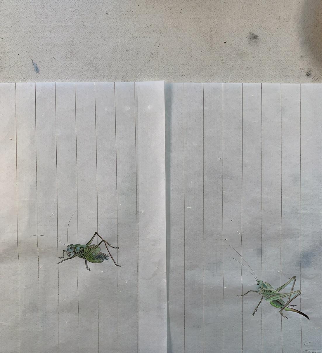 夏哈哈|夏雨:和女儿在家PK画蚂蚱,爷俩画工了得袁泉自动退出只好当裁判