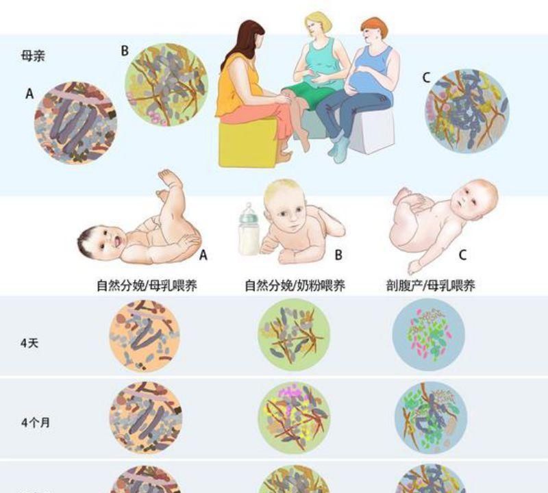 拉肚子|宝宝一吃凉的就拉肚子，1岁前三个习惯，打造一副好肠胃